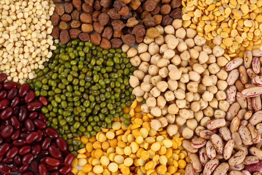 Weight loss and a Vegan diet: Legumes: Beans and pulses