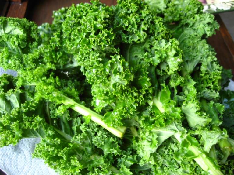 Has Kale had its day as a superfood? - May Simpkin