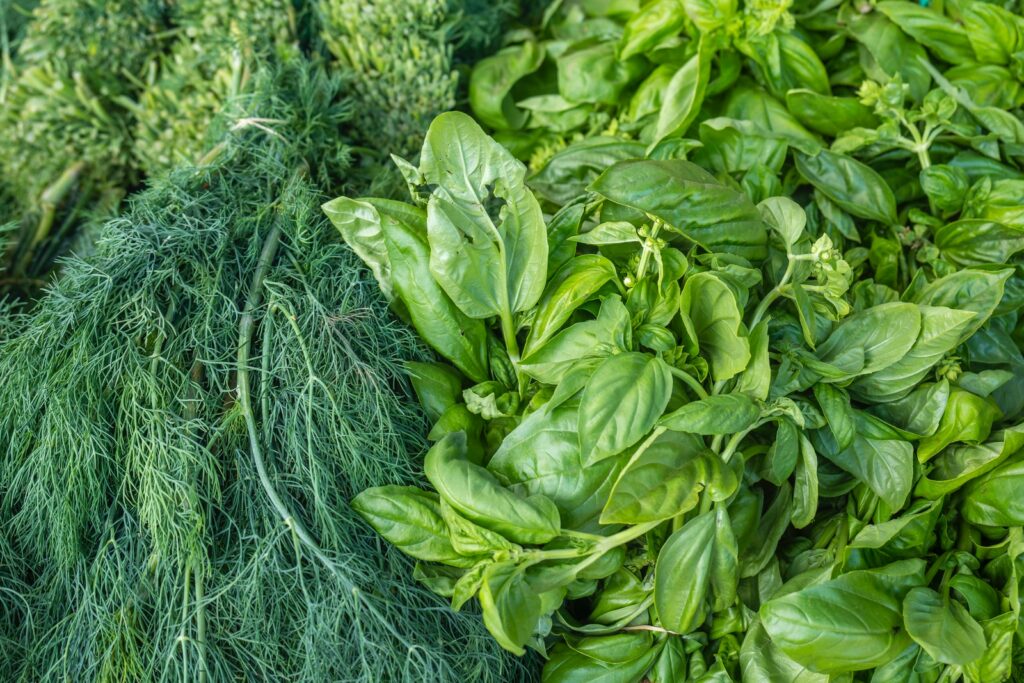 Fresh herbs; foods you shouldn't keep in the fridge