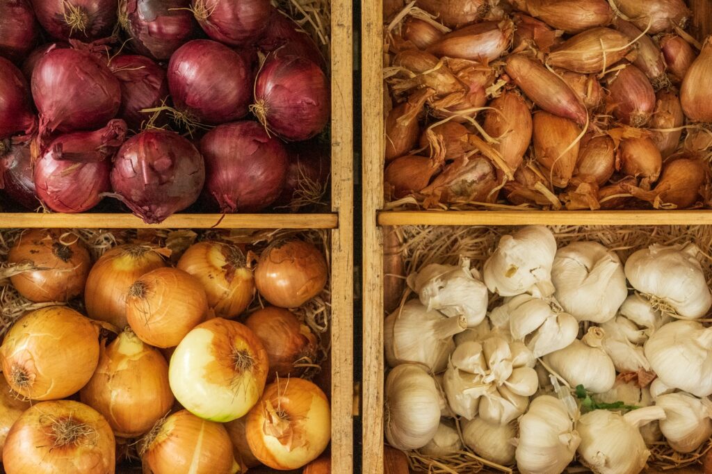 Onions and Garlic; foods you shouldn't keep in the fridge